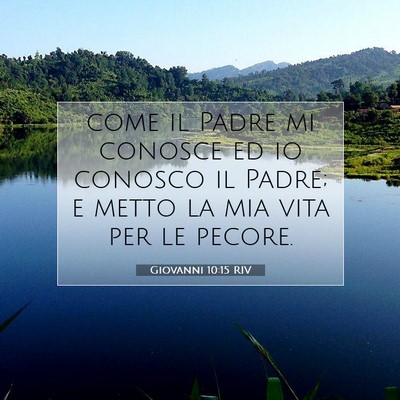 Giovanni 10:15 RIV Immagine del Versetto della Bibbia