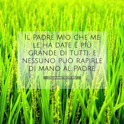 Giovanni 10:29 RIV Immagine del Versetto della Bibbia