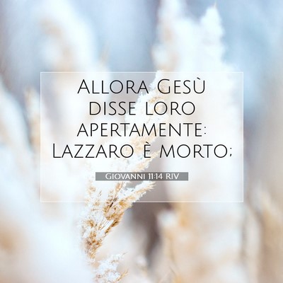 Giovanni 11:14 RIV Immagine del Versetto della Bibbia