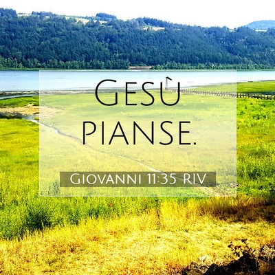 Giovanni 11:35 RIV Immagine del Versetto della Bibbia