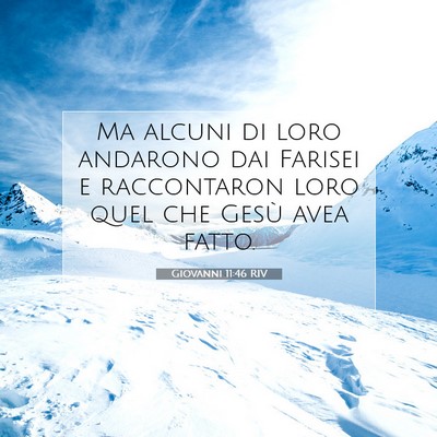 Giovanni 11:46 RIV Immagine del Versetto della Bibbia