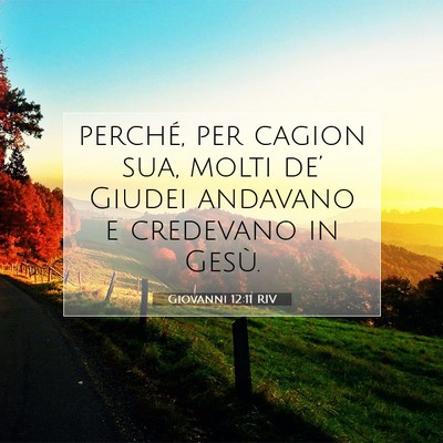 Giovanni 12:11 Versetto della Bibbia Spiegato