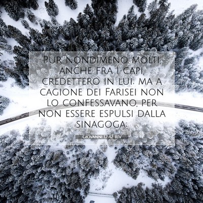 Giovanni 12:42 RIV Immagine del Versetto della Bibbia