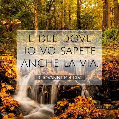 Giovanni 14:4 RIV Immagine del Versetto della Bibbia