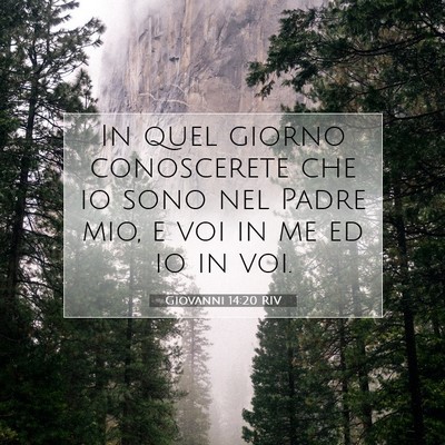 Giovanni 14:20 RIV Immagine del Versetto della Bibbia