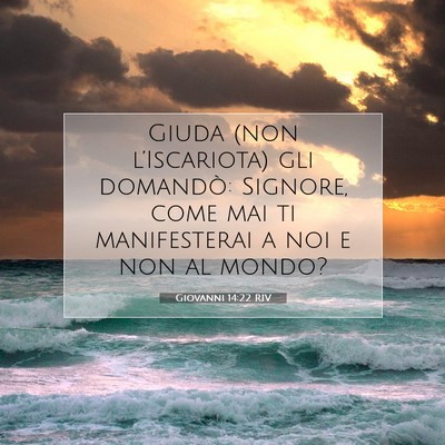 Giovanni 14:22 RIV Immagine del Versetto della Bibbia