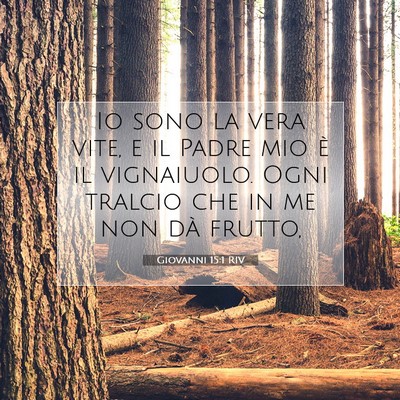 Giovanni 15:1 RIV Immagine del Versetto della Bibbia