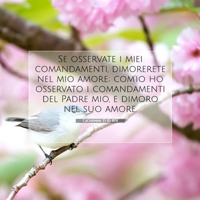 Giovanni 15:10 RIV Immagine del Versetto della Bibbia