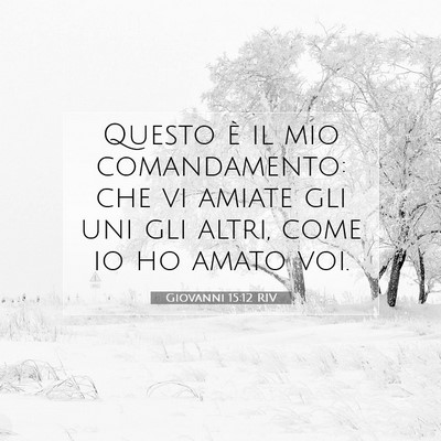 Giovanni 15:12 RIV Immagine del Versetto della Bibbia