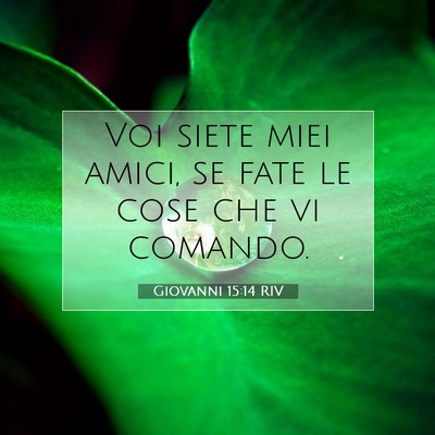 Giovanni 15:14 RIV Immagine del Versetto della Bibbia