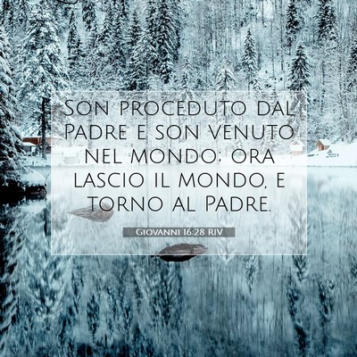 Giovanni 16:28 RIV Immagine del Versetto della Bibbia