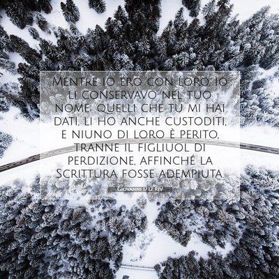 Giovanni 17:12 RIV Immagine del Versetto della Bibbia