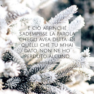 Giovanni 18:9 RIV Immagine del Versetto della Bibbia