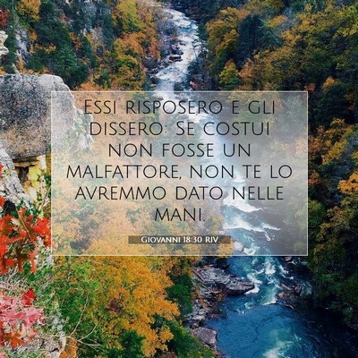 Giovanni 18:30 Versetto della Bibbia Spiegato