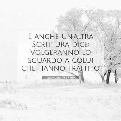 Giovanni 19:37 Versetto della Bibbia Spiegato