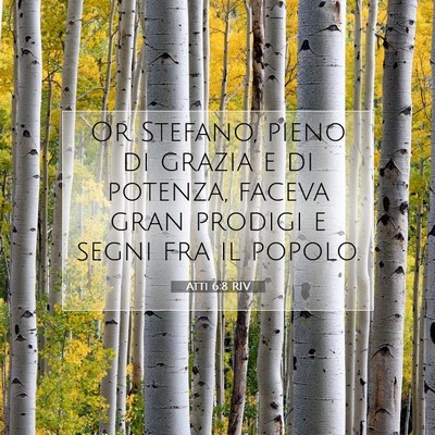 Atti 6:8 RIV Immagine del Versetto della Bibbia