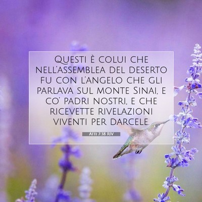Atti 7:38 RIV Immagine del Versetto della Bibbia