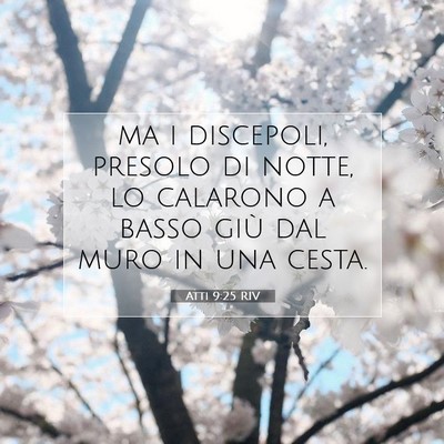 Atti 9:25 Versetto della Bibbia Spiegato