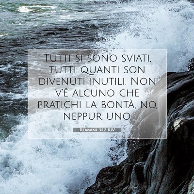 Romani 3:12 RIV Immagine del Versetto della Bibbia