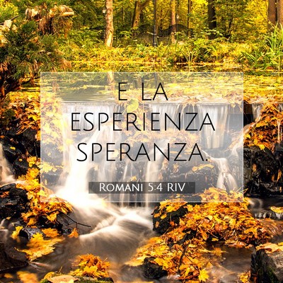 Romani 5:4 Versetto della Bibbia Spiegato