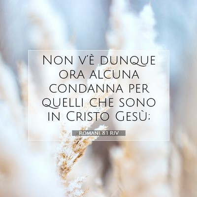 Romani 8:1 RIV Immagine del Versetto della Bibbia