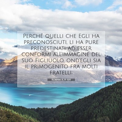Romani 8:29 RIV Immagine del Versetto della Bibbia