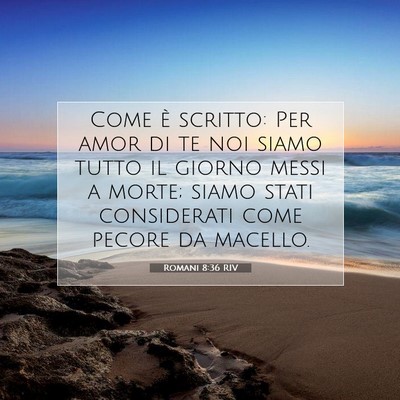 Romani 8:36 RIV Immagine del Versetto della Bibbia