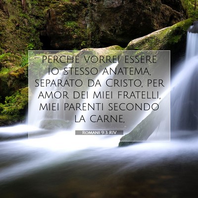 Romani 9:3 RIV Immagine del Versetto della Bibbia