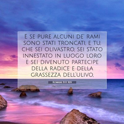 Romani 11:17 RIV Immagine del Versetto della Bibbia