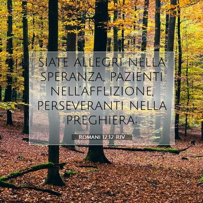 Romani 12:12 RIV Immagine del Versetto della Bibbia