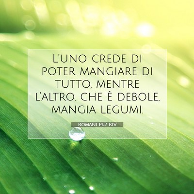 Romani 14:2 RIV Immagine del Versetto della Bibbia
