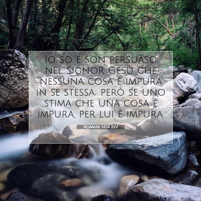 Romani 14:14 RIV Immagine del Versetto della Bibbia