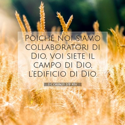 1 Corinzi 3:9 RIV Immagine del Versetto della Bibbia