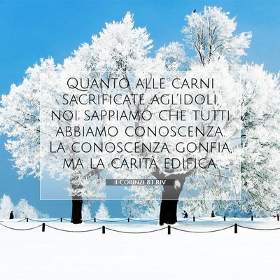1 Corinzi 8:1 RIV Immagine del Versetto della Bibbia