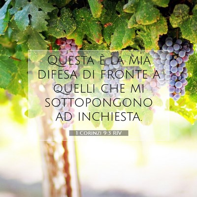 1 Corinzi 9:3 RIV Immagine del Versetto della Bibbia