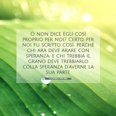 1 Corinzi 9:10 Versetto della Bibbia Spiegato