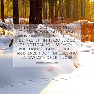1 Corinzi 12:28 RIV Immagine del Versetto della Bibbia