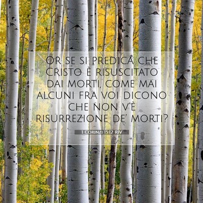1 Corinzi 15:12 RIV Immagine del Versetto della Bibbia
