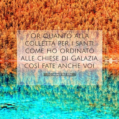 1 Corinzi 16:1 RIV Immagine del Versetto della Bibbia