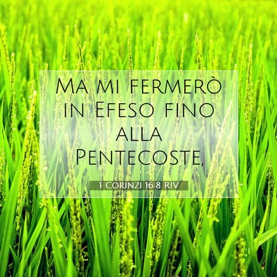 1 Corinzi 16:8 RIV Immagine del Versetto della Bibbia