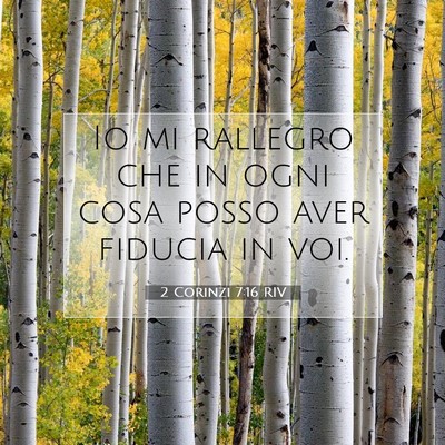 2 Corinzi 7:16 Versetto della Bibbia Spiegato