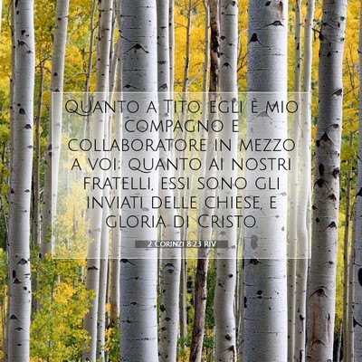 2 Corinzi 8:23 RIV Immagine del Versetto della Bibbia