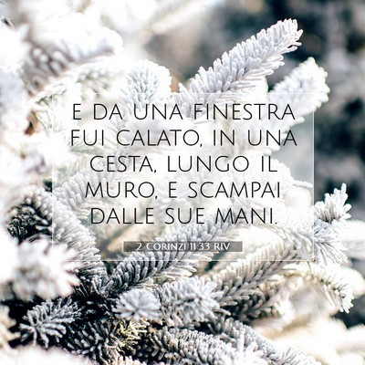 2 Corinzi 11:33 Versetto della Bibbia Spiegato