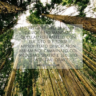 2 Corinzi 12:18 RIV Immagine del Versetto della Bibbia