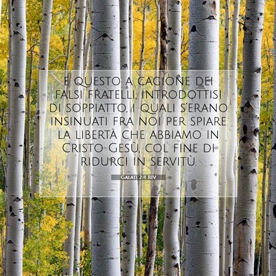 Galati 2:4 RIV Immagine del Versetto della Bibbia