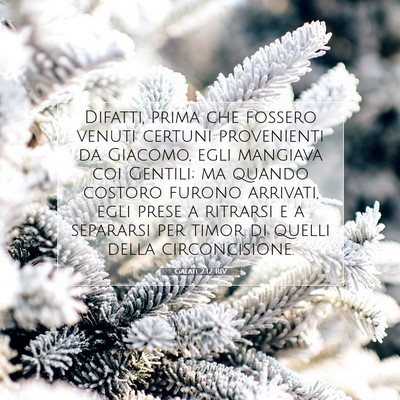 Galati 2:12 RIV Immagine del Versetto della Bibbia