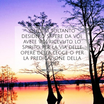 Galati 3:2 RIV Immagine del Versetto della Bibbia