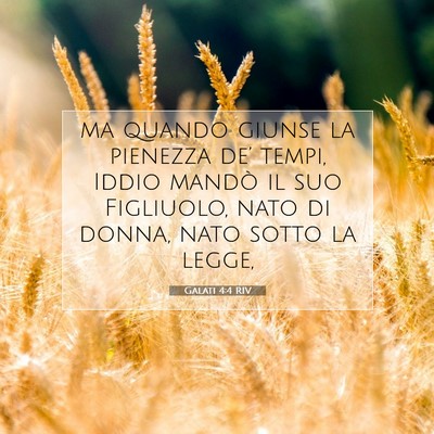 Galati 4:4 RIV Immagine del Versetto della Bibbia