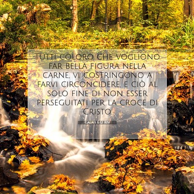 Galati 6:12 RIV Immagine del Versetto della Bibbia