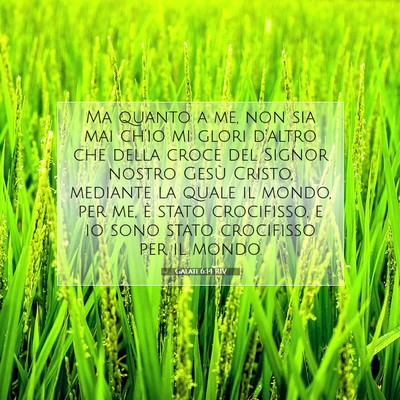 Galati 6:14 RIV Immagine del Versetto della Bibbia
